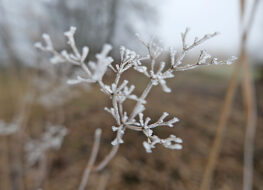 001 - es war an einem kalten tag